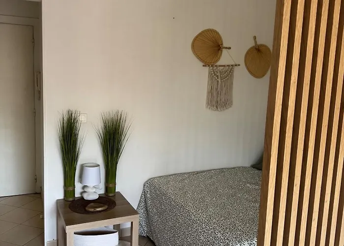 Apartment Proche De La Mer, Piscine, Climatisation Et Wifi Mandelieu